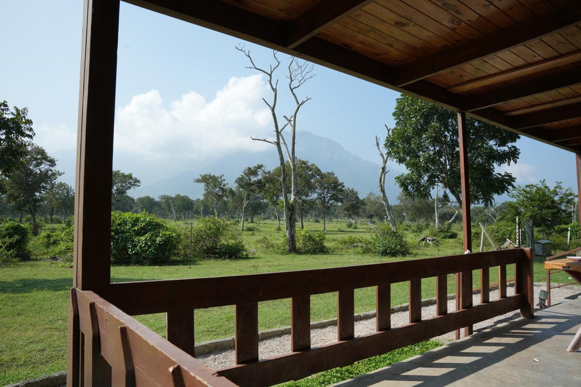 Labdhi Resorts Masinagudi- Stag Groups Not Allowed Extérieur photo