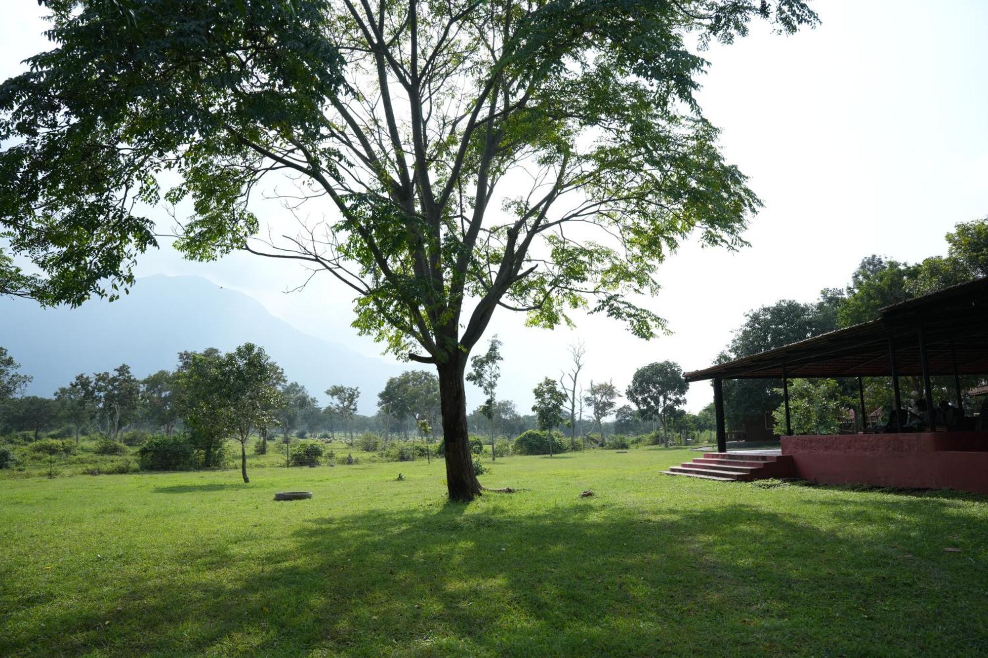 Labdhi Resorts Masinagudi- Stag Groups Not Allowed Extérieur photo